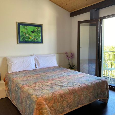 Viva Bacco Bed & Breakfast Gambarogno Dış mekan fotoğraf