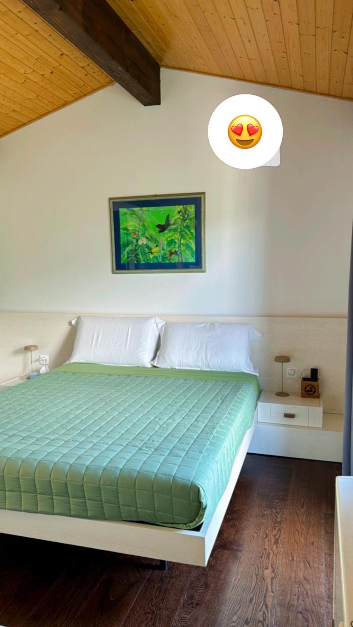 Viva Bacco Bed & Breakfast Gambarogno Dış mekan fotoğraf