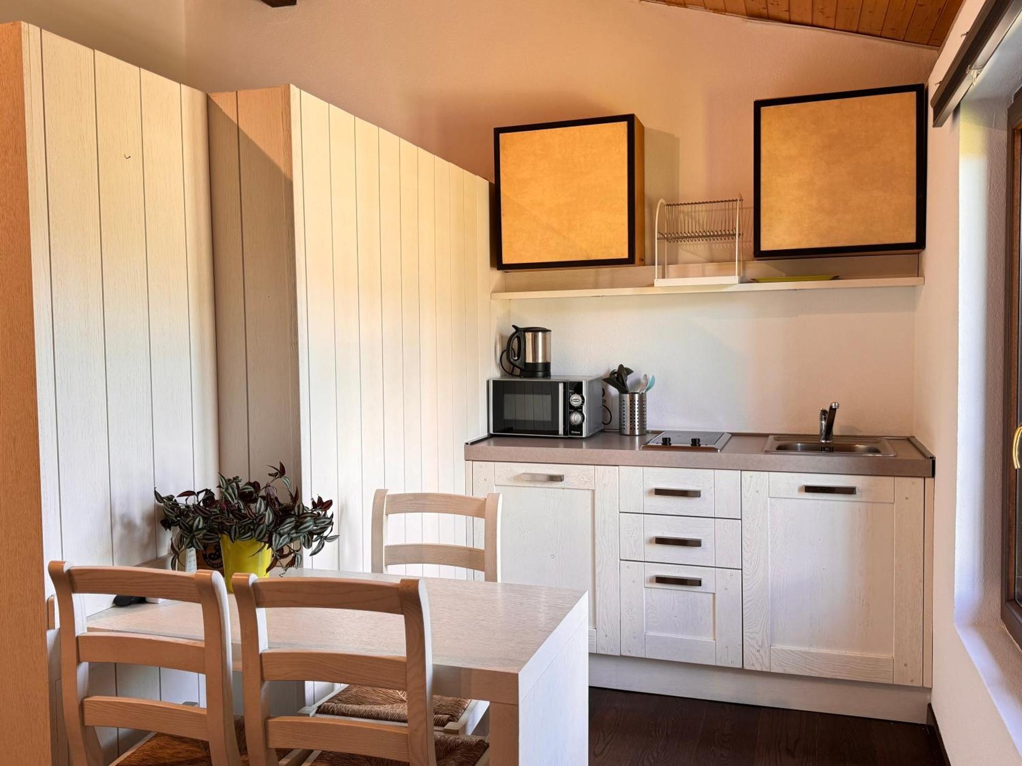 Viva Bacco Bed & Breakfast Gambarogno Dış mekan fotoğraf