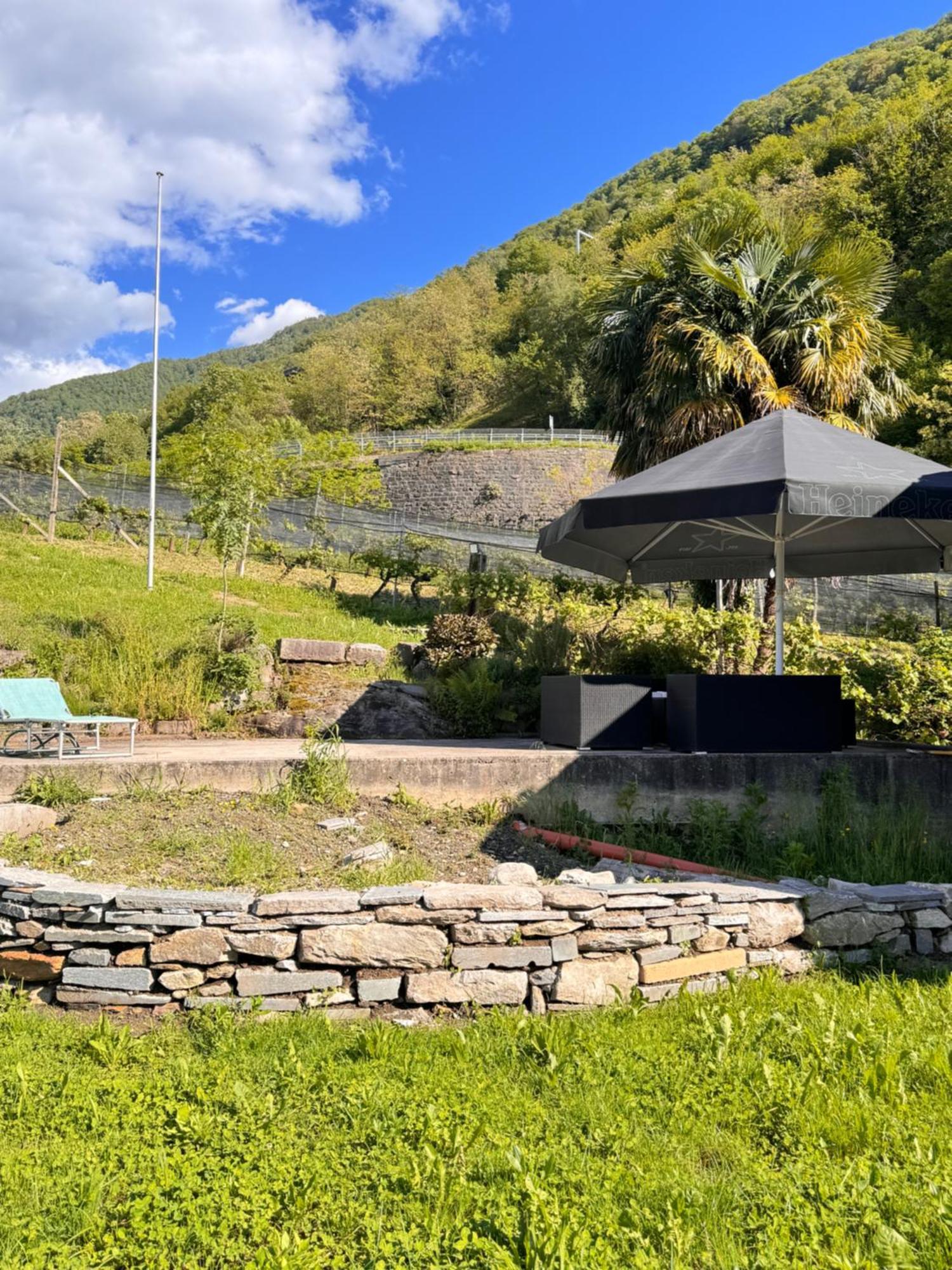 Viva Bacco Bed & Breakfast Gambarogno Dış mekan fotoğraf