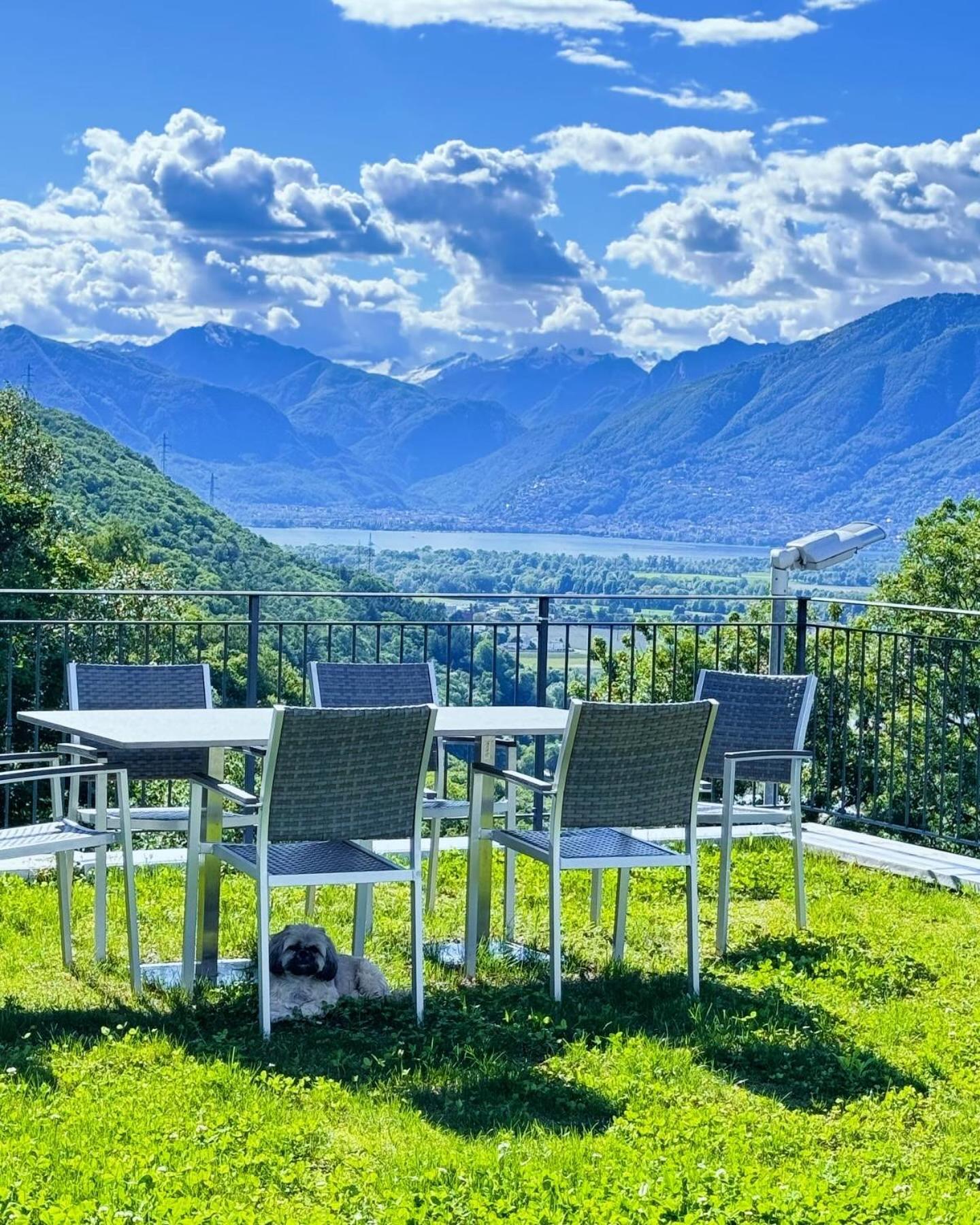 Viva Bacco Bed & Breakfast Gambarogno Dış mekan fotoğraf