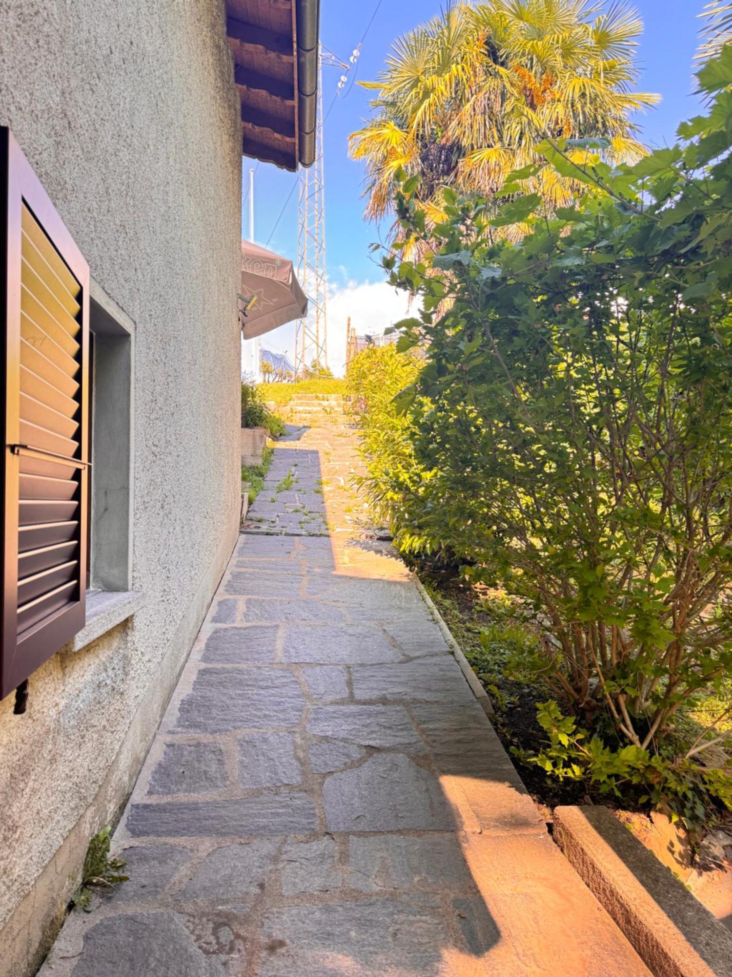 Viva Bacco Bed & Breakfast Gambarogno Dış mekan fotoğraf