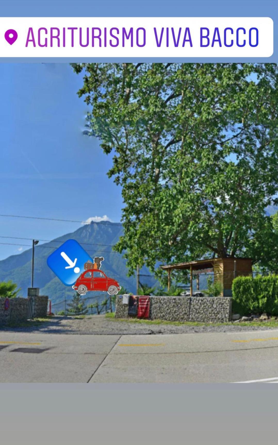 Viva Bacco Bed & Breakfast Gambarogno Dış mekan fotoğraf
