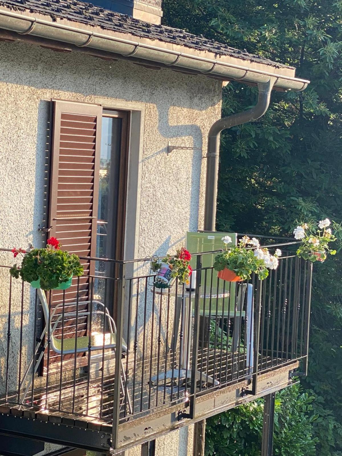 Viva Bacco Bed & Breakfast Gambarogno Dış mekan fotoğraf