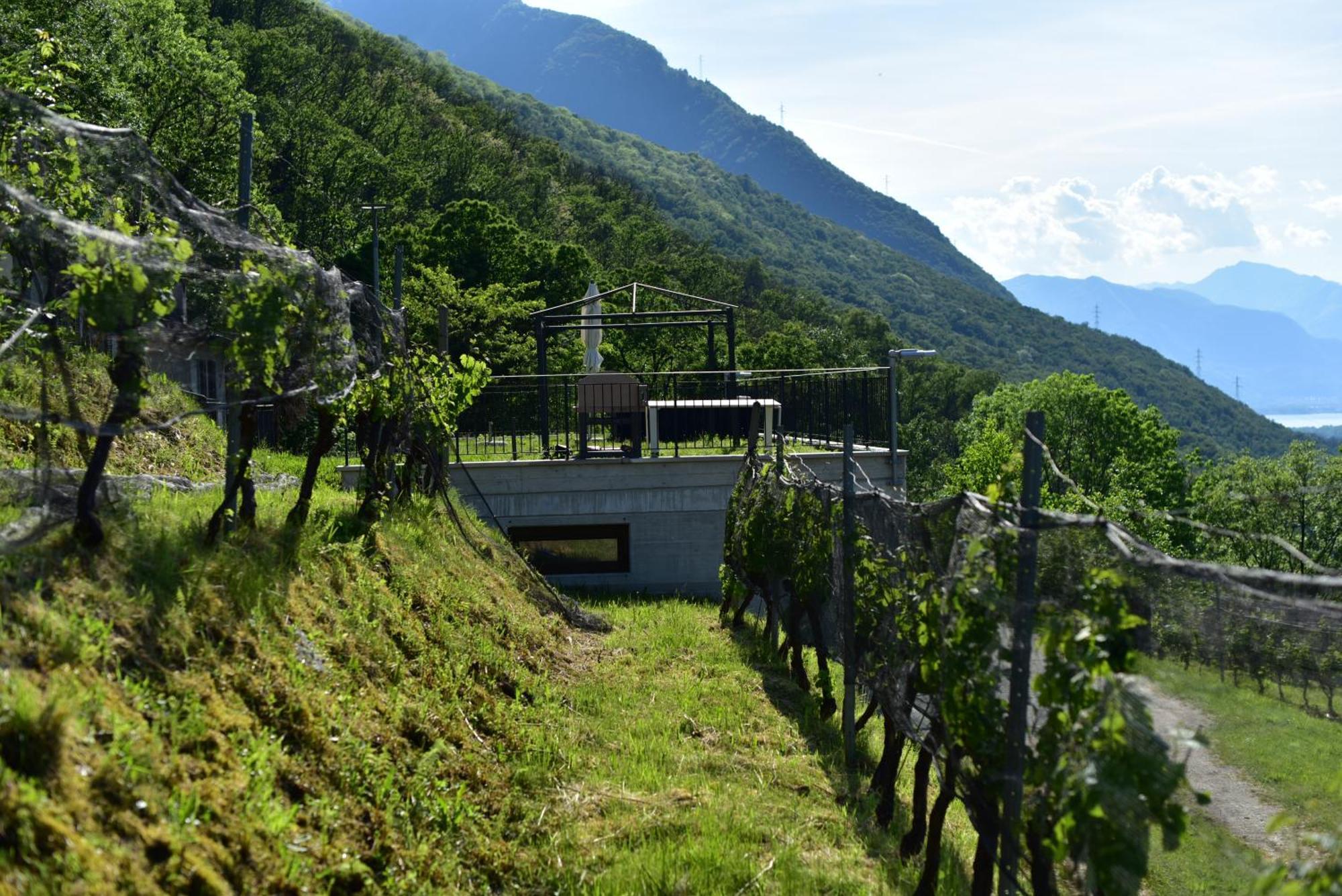 Viva Bacco Bed & Breakfast Gambarogno Dış mekan fotoğraf