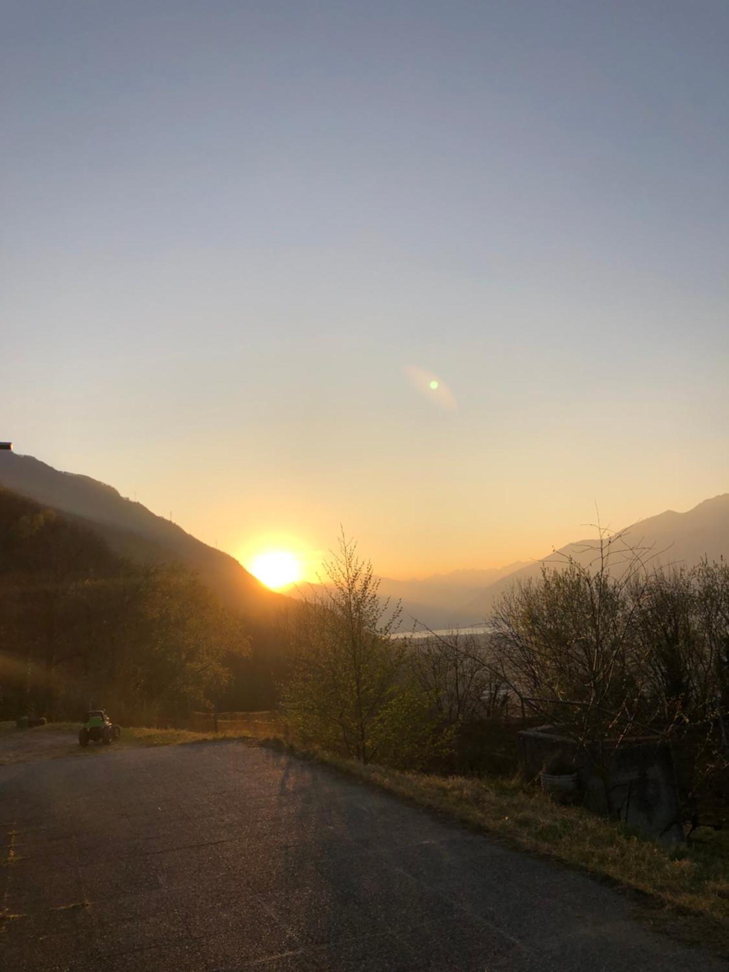 Viva Bacco Bed & Breakfast Gambarogno Dış mekan fotoğraf