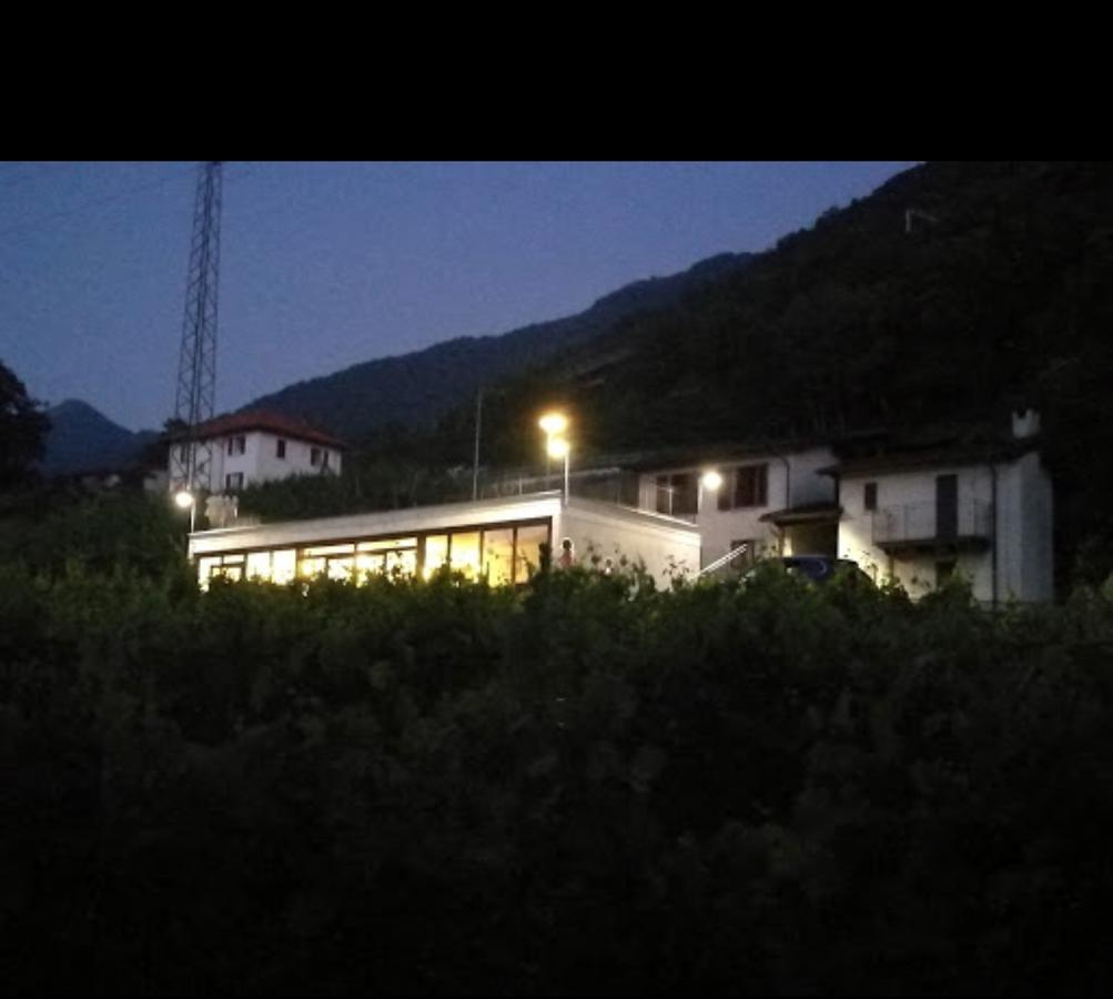 Viva Bacco Bed & Breakfast Gambarogno Dış mekan fotoğraf