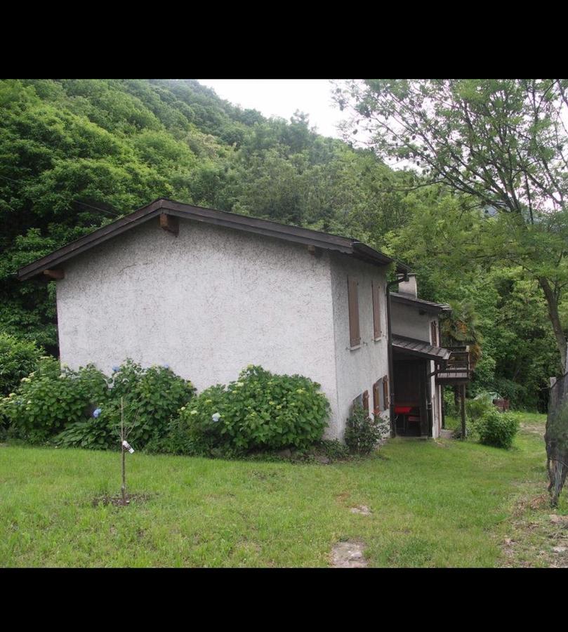 Viva Bacco Bed & Breakfast Gambarogno Dış mekan fotoğraf