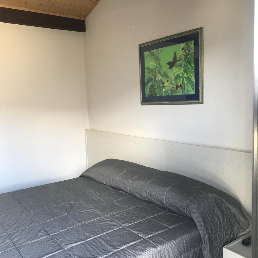 Viva Bacco Bed & Breakfast Gambarogno Dış mekan fotoğraf