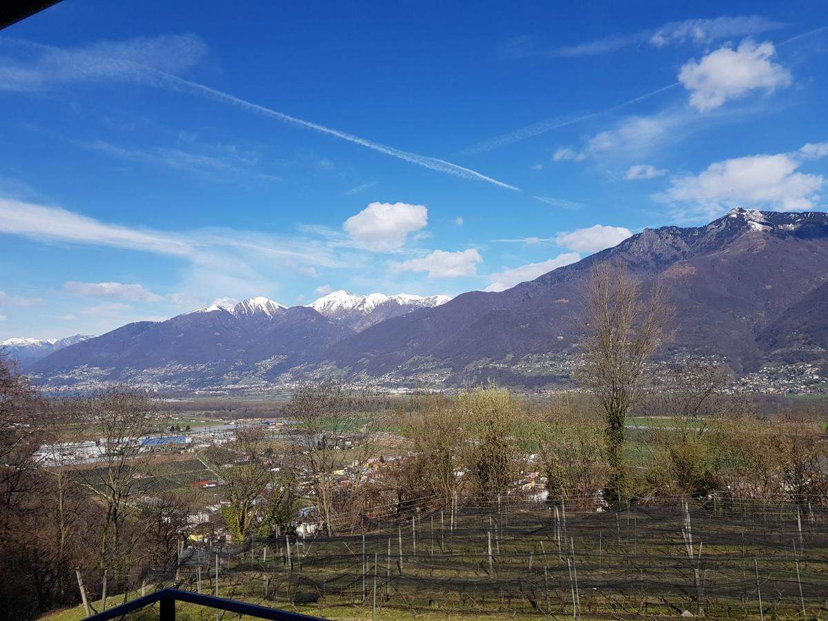 Viva Bacco Bed & Breakfast Gambarogno Dış mekan fotoğraf