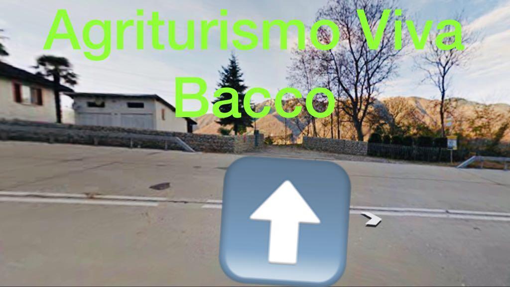 Viva Bacco Bed & Breakfast Gambarogno Dış mekan fotoğraf