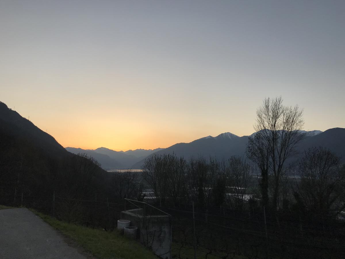 Viva Bacco Bed & Breakfast Gambarogno Dış mekan fotoğraf
