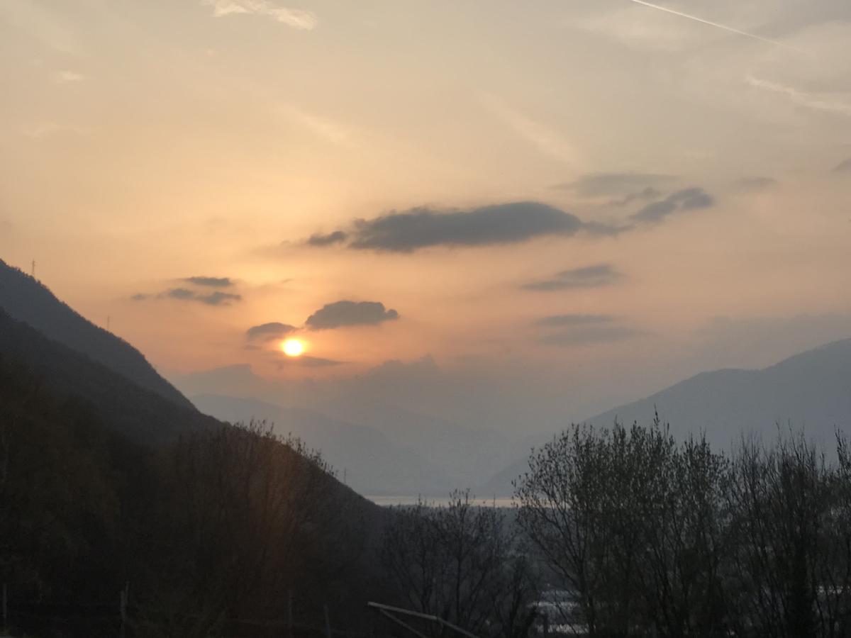 Viva Bacco Bed & Breakfast Gambarogno Dış mekan fotoğraf