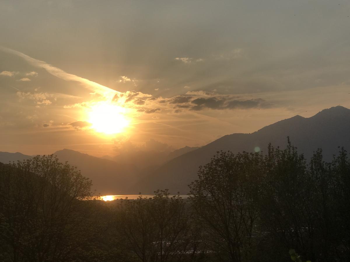 Viva Bacco Bed & Breakfast Gambarogno Dış mekan fotoğraf